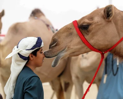 ARABIA SAUDYJSKA – nurkowanie w królestwie ciszy i koloru