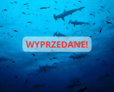 Galapagos – wyprawa nurkowa na Darwin i Wolf: rekiny młoty i oceaniczne giganty