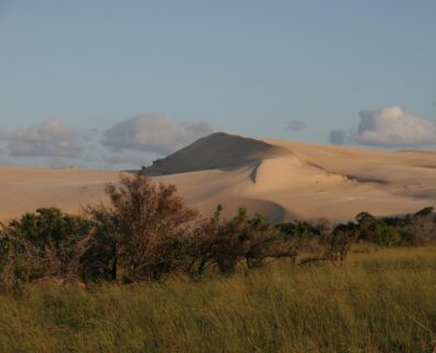 Mozambik: Od Delfinów po Manty – Nurkowa Odyseja Afryki Południowej