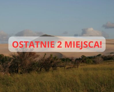 Mozambik – Wyprawa nurkowa z delfinami i mantami | nurkowanie w Tofo