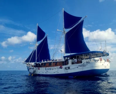 Tubbataha i Kuala Lumpur – Dwa Oblicza Azji